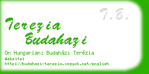 terezia budahazi business card
